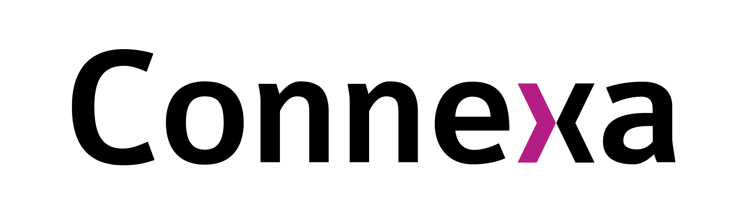 Connexa Paneles logo
